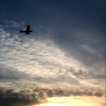 Andrew takes first flying lesson at AeroDynamic Aviation flight training school San Jose