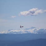 bellanca, decathlon