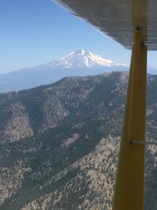 citabria, 7kcab, tailwheel, flight training, california