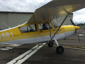 Citabria, solo, tailwheel